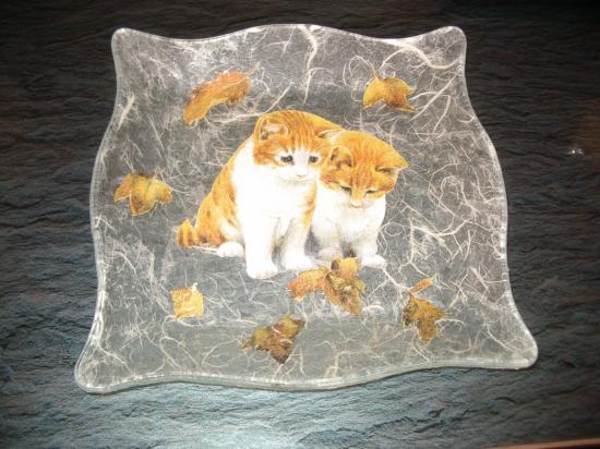 Assiette chatons